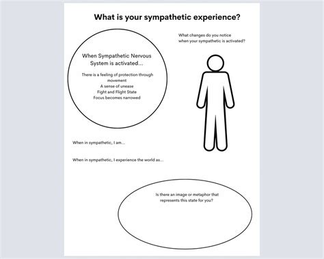 Polyvagal Theory Worksheet / Nervous System States / Three State Worksheets / Therapy Worksheet ...