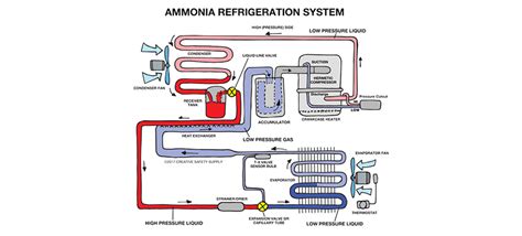 Ammonia refrigeration - Modern Refrigeration