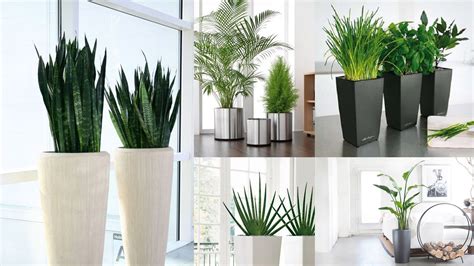 Plantas Y Cactus Artificiales Súper Realistas Arph.es