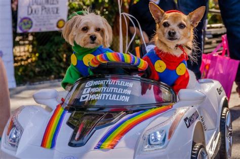 Some Truly Excellent Costumes From NYC's Famous Halloween Dog Parade | HuffPost