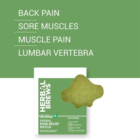 Back Pain Relief Patches (Specially Designed for Lower Lumbar Area ...