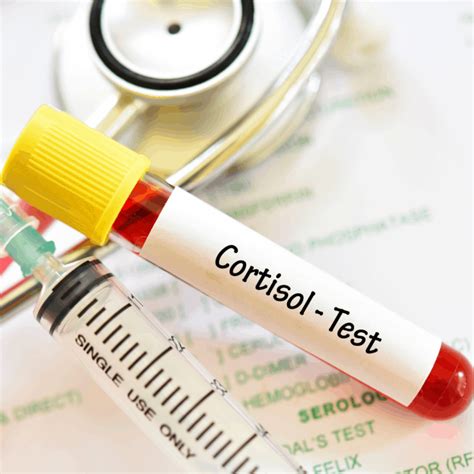 Cortisol: The Stress Hormone and What You Need To Know For Adrenal ...