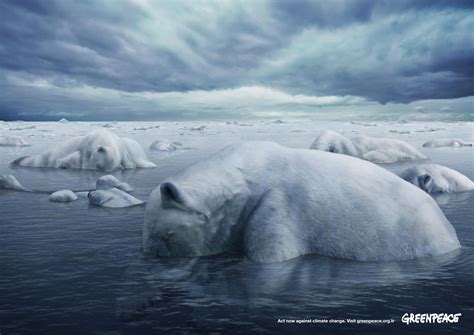 Creative video Ads: Greenpeace Polar Bears Ad