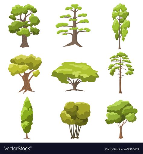 Stylized trees Royalty Free Vector Image - VectorStock