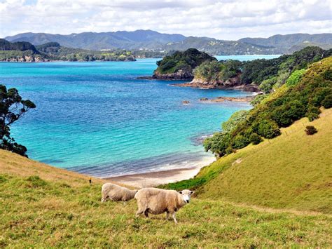 Have You Heard of These Secret Islands in New Zealand? | Travel Insider