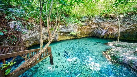 The complete guide to cenote hopping in Tulum - Bookaway