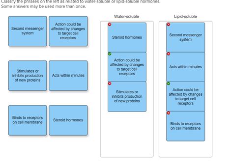 Solved Classify the phrases on the left as related to | Chegg.com