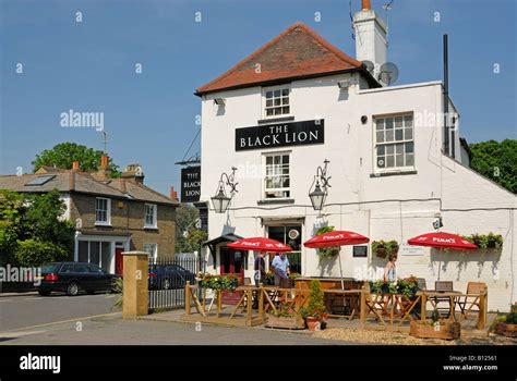 The Black Lion pub, Chiswick riverside Stock Photo - Alamy