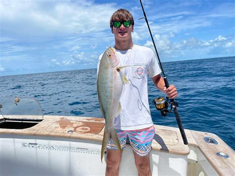 All About The Yellowtail Snapper – Facts About Florida Keys Yellowtail