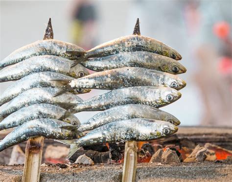 Anchovies vs. Sardines: What’s the Difference?