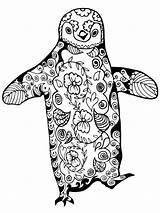 Penguin Mandala Coloring Pages sketch template