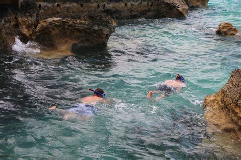 Willowbank Snorkeling - The Best of Bermuda