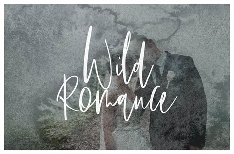 Wild Romance Script Font ~ Script Fonts ~ Creative Market