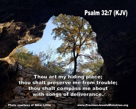 Susies' Musings: PSALM 32:7 - SONGS OF DELIVERANCE