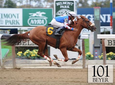 Little Distorted, maiden race BEYER | Horse racing's top Beyer Speed ...