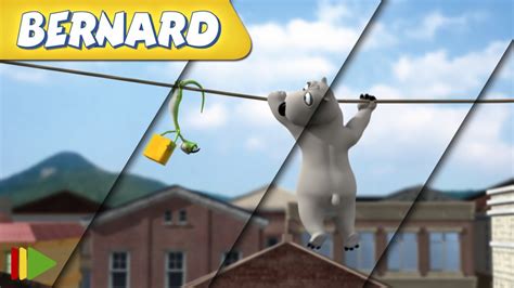 🐻‍ ️ BERNARD | Collection 32 | Full Episodes | VIDEOS and CARTOONS FOR KIDS - YouTube