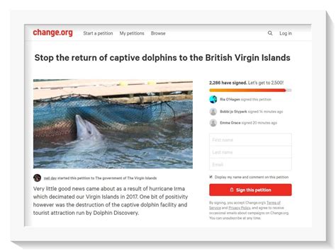 Another anti-Dolphin Discovery petition emerges, several rally behind online protest