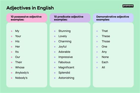 Adjectives in English | Promova Grammar