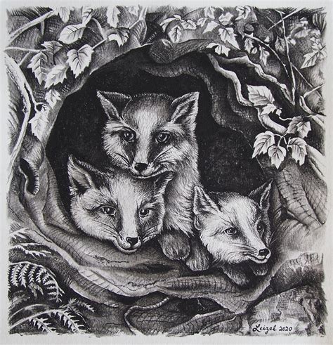 Fox Den Drawing by Leizel Grant - Fine Art America