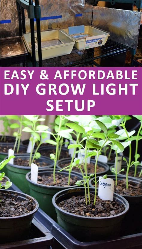 Build Your Own Grow Light System | Starting seeds indoors, Cheap grow lights, Growing food