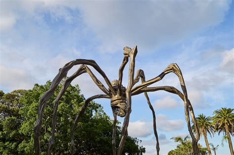 ‘Maman’ up close | Art Gallery of NSW