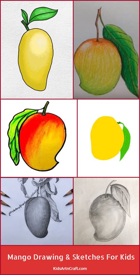 Mango Drawing & Sketches for Kids - Kids Art & Craft