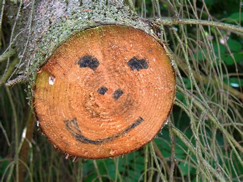 Smiling Face Free Stock Photo - Public Domain Pictures