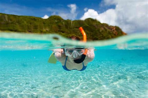 How to Dive with a Snorkel- Learn All About the Snorkel and How to Use It!