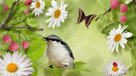 Wallpaper Birds and Flowers - WallpaperSafari