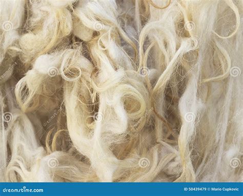 Raw wool stock image. Image of heap, arranged, craft - 50439479