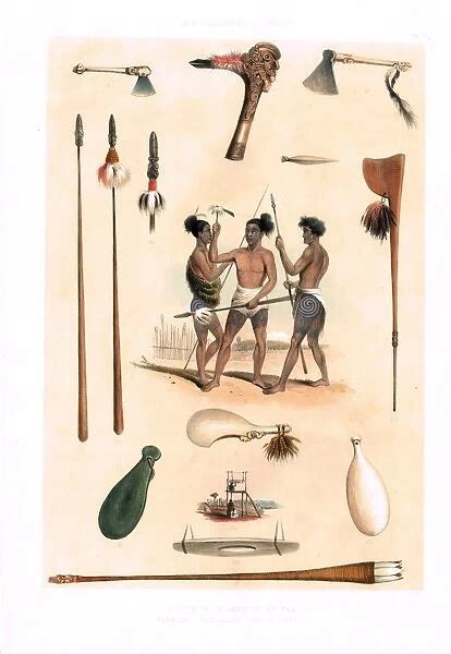 Maori Weapons and Implements of War, with Warriors