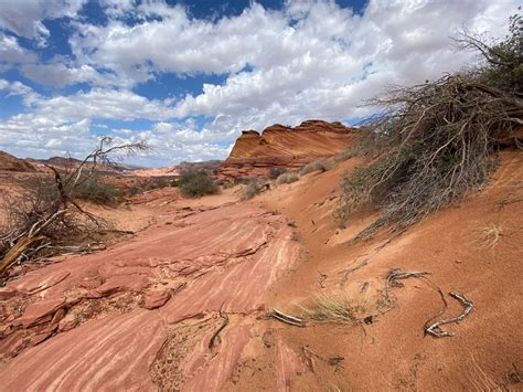 Hiking The Wave In Arizona