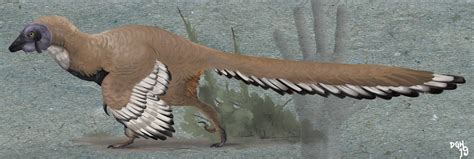 Jeholornis prima by DanneArt on DeviantArt