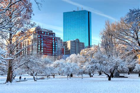 Boston Park Winter Stock Photos, Pictures & Royalty-Free Images - iStock