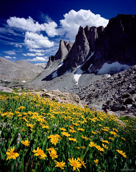 Warbonnet Wildflowers | Wind River Range, Wyoming | Mountain Photography by Jack Brauer