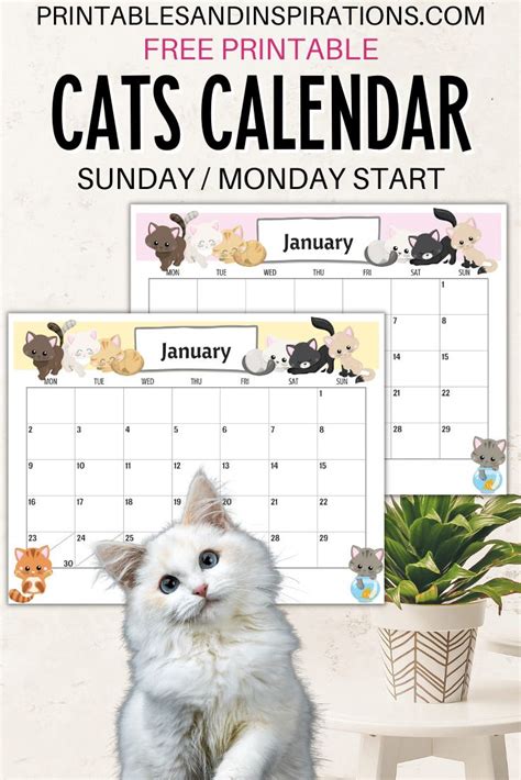 2024 Cute Cats Free Printable Monthly Calendar - Printables and ...