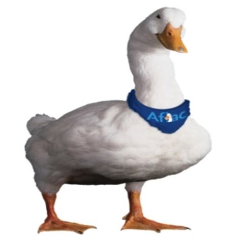 Aflac Bandana Duck-750