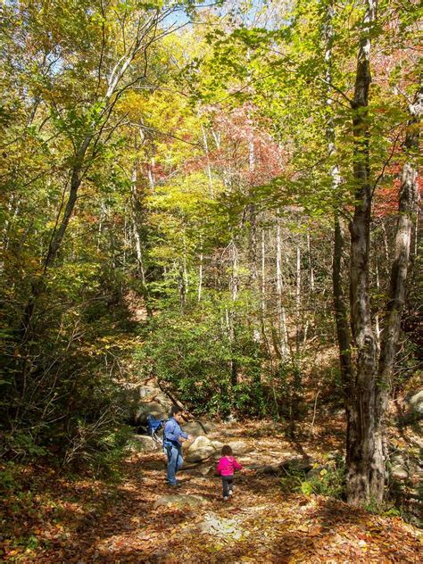 Catawba Falls Trail on HikeWNC