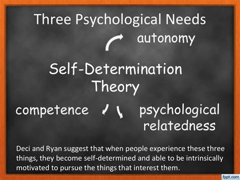 Self determination theory