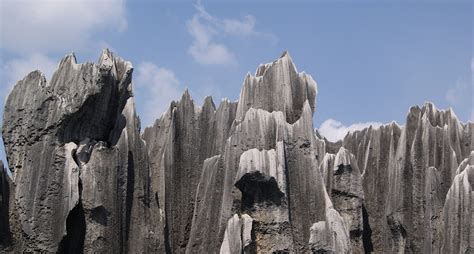 Scientists Solve Mystery of How World’s ‘Stone Forests’ Formed ...