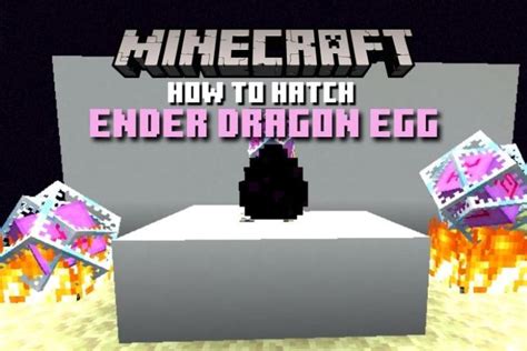 How to Hatch an Ender Dragon Egg in Minecraft (2022) | Beebom