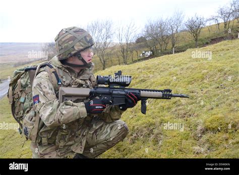 L129A1 Sharpshooter / Sniper rifle, as issued to British army ...