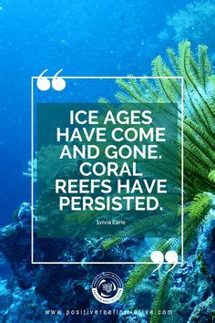 11 Coral Reef Quotes ideas | coral reef, reef, coral