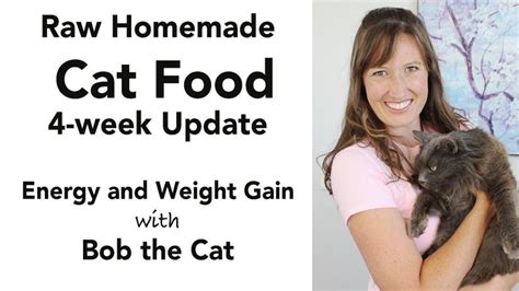 Homemade Cat Food Update (kidney disease diet – low phosphorus) – Man ...