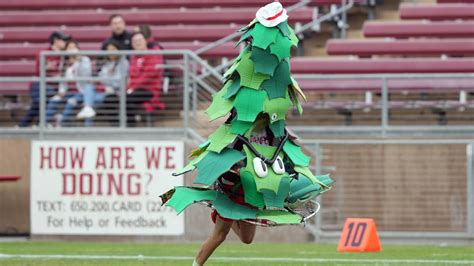 Stanford group aims to ‘free the Tree’ | Yardbarker