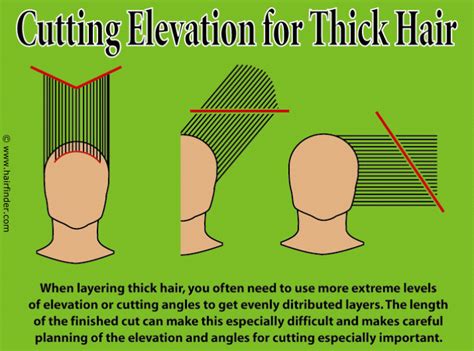 Technique for layering thick hair and hair cutting elevation