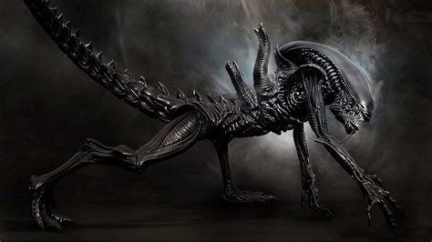 5 Stages Of Alien Xenomorph Life Cycle | Proof Of Aliens Life ...