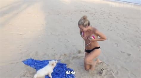 Let's enjoy these hilarious beach fails. (video) - The Loftus Party