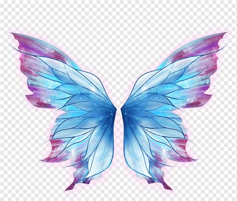 Butterfly Drawing Art Fairy, wings, blue and red butterfly wing, purple ...