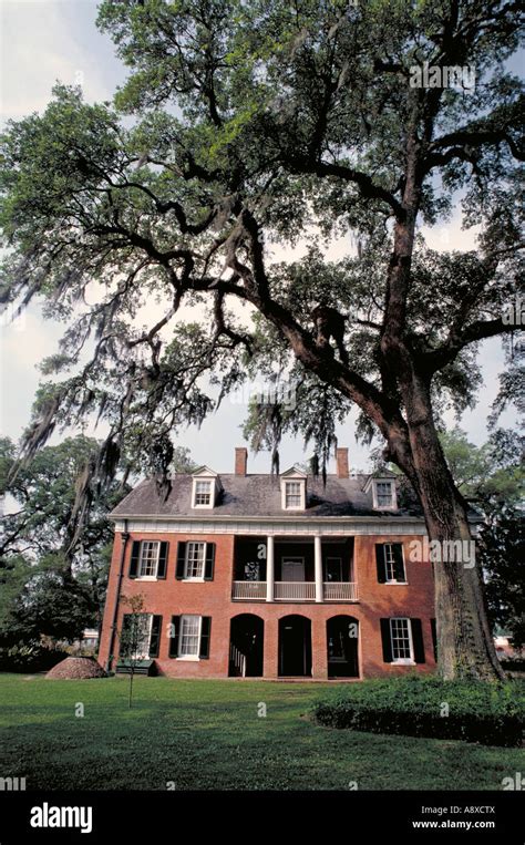 Shadows on the teche plantation hi-res stock photography and images - Alamy